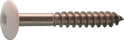 Afbeelding - https-www-ez-catalog-nl-Asset-fd4de966107f4f66b887f8b9a4cc2498-ImageFullSize-5525803-jpg